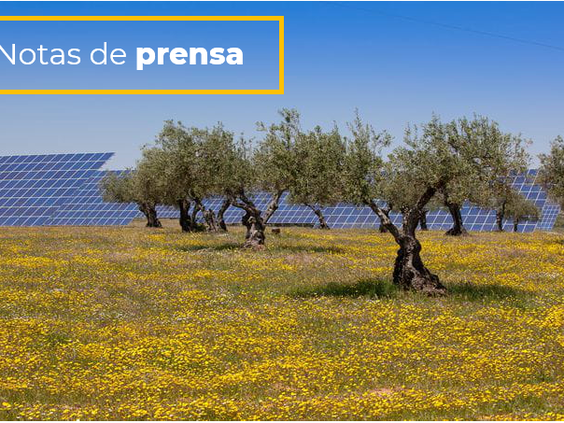 The Spanish Photovoltaic Association UNEF welcomes Government clearing up on RDL 17/2021