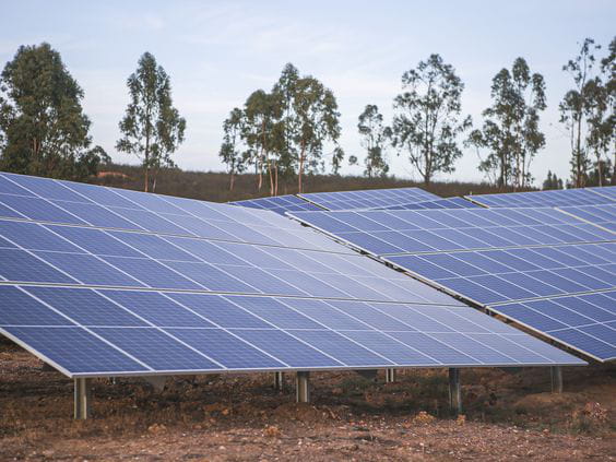 The Andévalo photovoltaic plant is the first project built to obtain the UNEF Certificate of Excellence for Sustainability and Biodiversity Conservation.