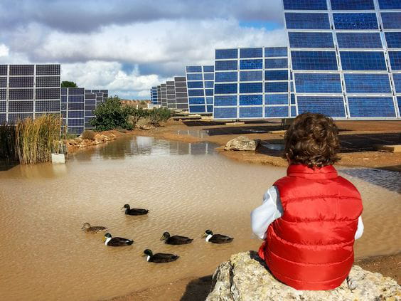 Spain has everything to become a leader in energy 'techno-strategy' through solar photovoltaic innovation
