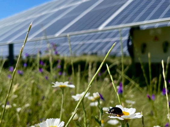 El proyecto Serol, de Esparity Solar, obtiene el Sello de Excelencia para la Sostenibilidad de UNEF por sus buenas practicas de integración ambiental y social