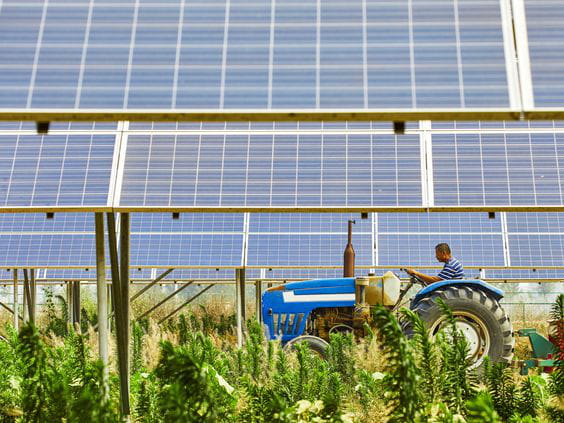 UNEF considera que la Propuesta Normativa de Protección de Usos del Suelo Regable afecta de manera negativa a la descarbonización del sistema energético español