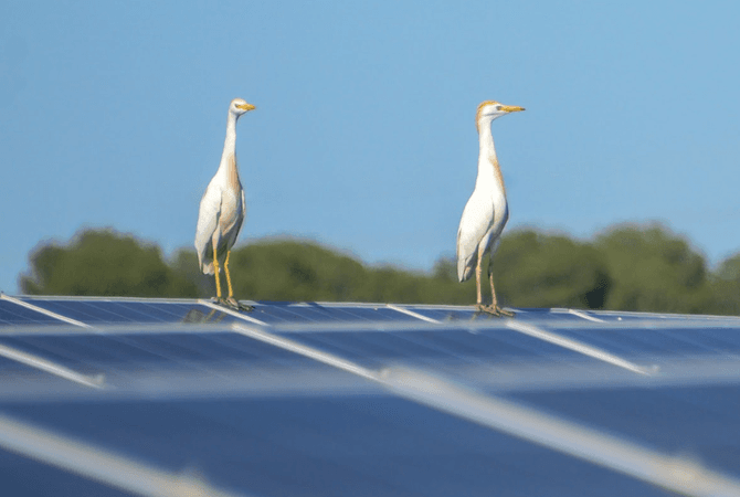 Comentario de UNEF a la propuesta de la Comisión Europea a la reforma del mercado eléctrico en relación a la energía fotovoltaica
