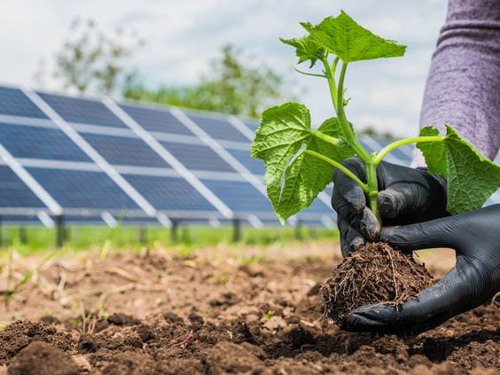 Estas son las 10 Comunidades Autónomas que más emisiones de CO2 evitaron gracias al carácter de sustitución de combustibles fósiles de la energía solar