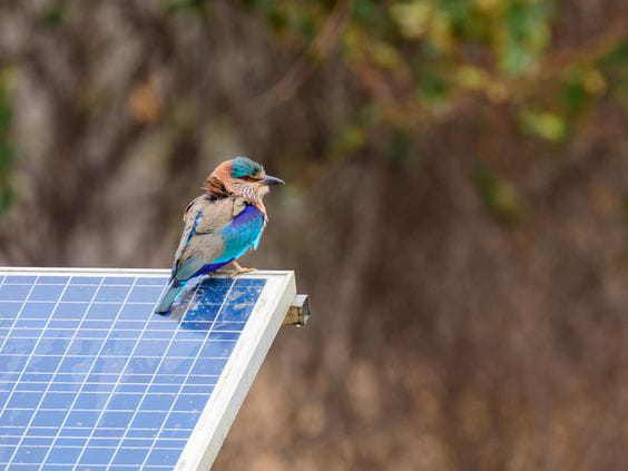 La energía solar redujo en un 35% los costes de la electricidad en las horas centrales del día desde el mes de marzo