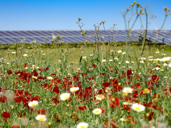 El sector fotovoltaico nacional traslada una batería de 7 propuestas a los partidos políticos para asegurar la consecución de la transición energética en España