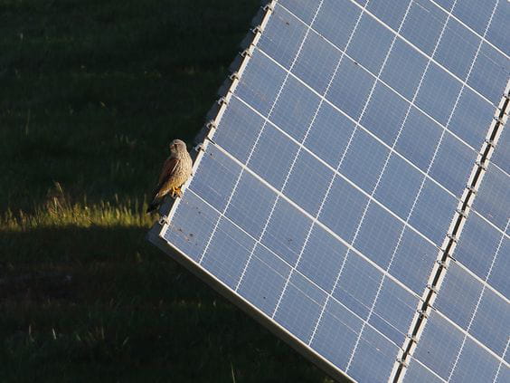 La revisión del PNIEC incrementa los objetivos de implementación fotovoltaica hasta los 76 GW antes de 2030, en línea con la propuesta de UNEF
