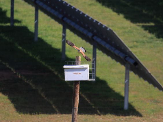 La energía solar contribuyó a la lucha contra el Cambio Climático evitando la emisión 14.228.381 Toneladas de C02 sólo en España