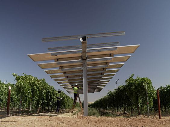 Estos son los 10 retos que tiene que afrontar la bioagrovoltaica en España, según el I Informe de Bioagrovoltaica de UNEF