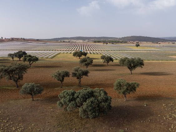 Dos plantas solares de Reichmuth & Co Infrastructure, Trujillo y Picón, reciben el Sello de Excelencia en Sostenibilidad UNEF