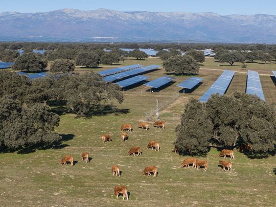 UNEF otorga el Sello de Excelencia en Sostenibilidad a la planta fotovoltaica Talayuela II de Statkraft, en Cáceres
