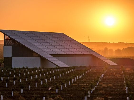"In the land of the sun, solar energy is offering us a historic opportunity for industrialization."