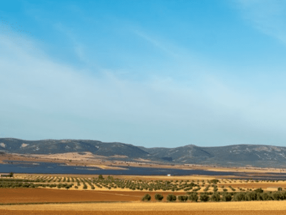UNEF otorga el Sello de Excelencia en Sostenibilidad a las plantas fotovoltaicas Picón I, II y III de Naturgy en Ciudad Real