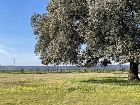 La energía solar alcanza un nuevo récord de reducción de emisiones en España y refuerza su papel esencial frente al cambio climático