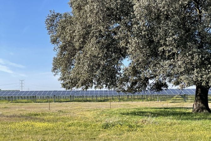 La energía solar alcanza un nuevo récord de reducción de emisiones en España y refuerza su papel esencial frente al cambio climático