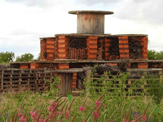 Un estudio científico en las plantas solares de Endesa en Minglanilla demuestra que estas instalaciones recuperan la biodiversidad natural del entorno