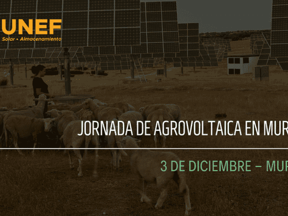 UNEF celebra el próximo 3 de diciembre la jornada “Sol, agua y campo: agrovoltaica y solar flotante para un futuro agrícola más rentable y resiliente” en la Universidad de Murcia