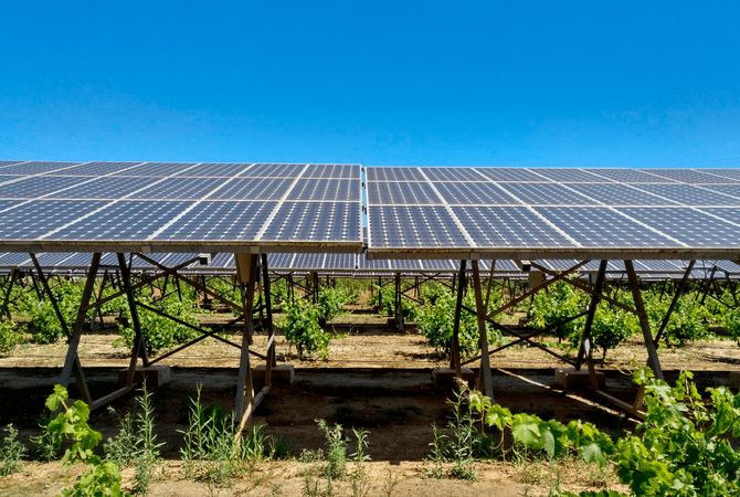 Valfortec apuesta por la agrovoltaica  en sus proyectos, la renovable más  sostenible y respetuosa