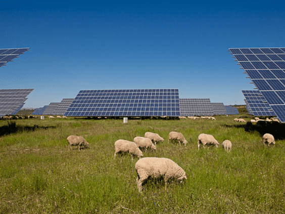 El 84,2% de los españoles considera que la energía solar fotovoltaica es una alternativa viable y sostenible para generar electricidad en España
