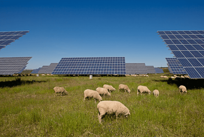 El 84,2% de los españoles considera que la energía solar fotovoltaica es una alternativa viable y sostenible para generar electricidad en España