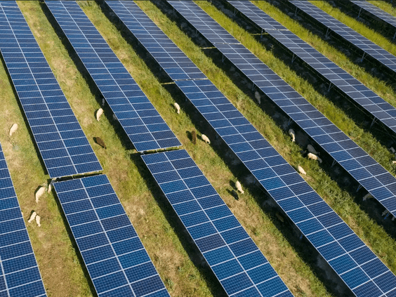 10 datos que demuestran que la energía solar es el gran valor estratégico de España