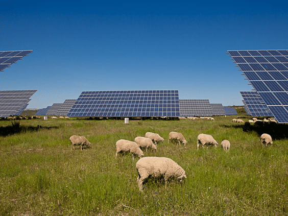 84.2% of Spaniards consider solar photovoltaic energy a viable and sustainable alternative for electricity generation in Spain