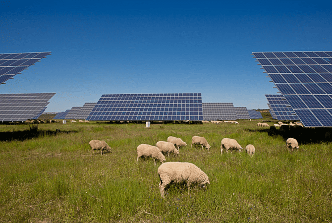 84.2% of Spaniards consider solar photovoltaic energy a viable and sustainable alternative for electricity generation in Spain