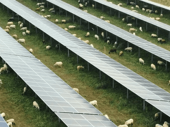 Spain’s defence lies in solar energy