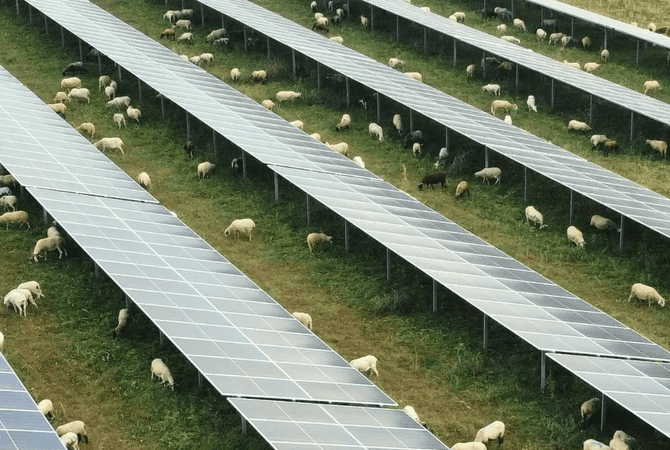 Spain’s defence lies in solar energy