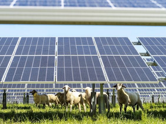 UNEF highlights that, with the participation of renewables in voltage control and the progress of storage, we now have a safer and more stable electricity system