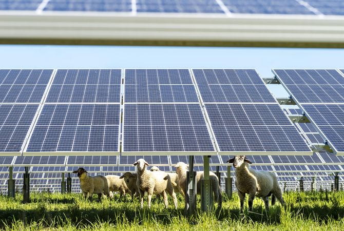 UNEF highlights that, with the participation of renewables in voltage control and the progress of storage, we now have a safer and more stable electricity system