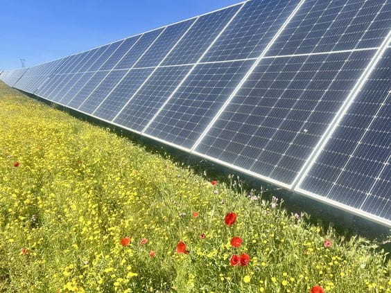 La energía solar fotovoltaica, clave para luchar contra el cambio climático