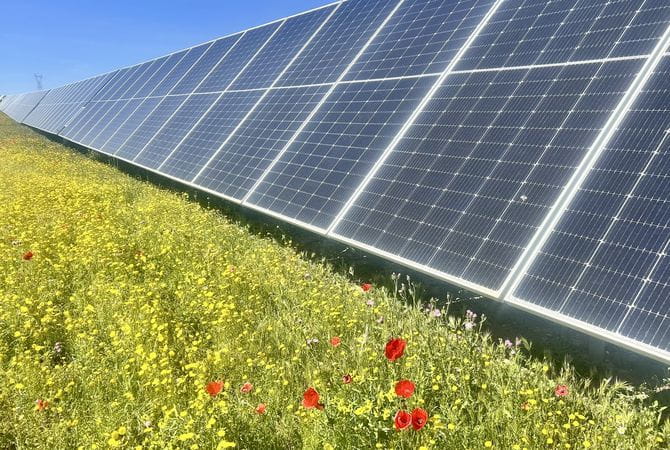 La energía solar fotovoltaica, clave para luchar contra el cambio climático