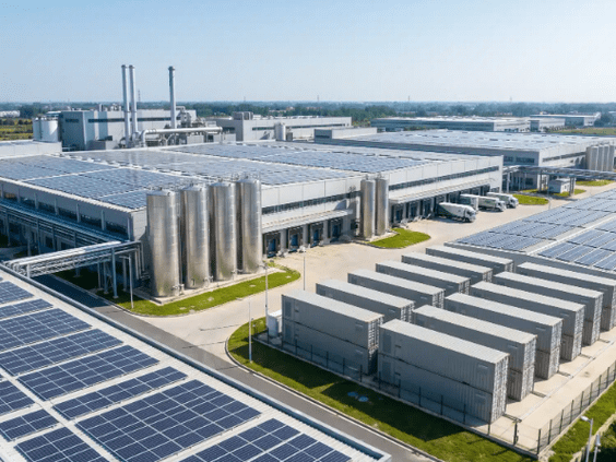 La descarbonización de la industria: electrificación, almacenamiento y gestión del riesgo en los mercados